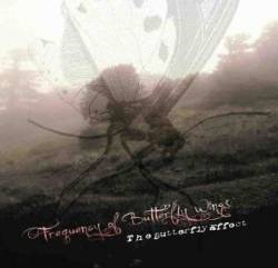 Frequency Of Butterfly Wings : The Butterfly Effect